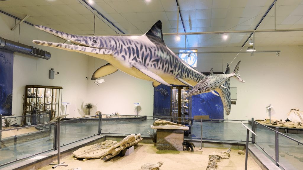 Model of an Ichthyosaurus with its child.