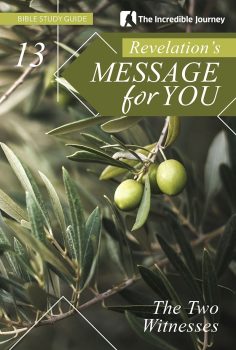 Revelation Study #13_withoutBleed-1